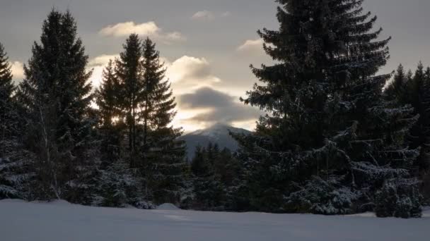 Winter in the spruce forest. At dusk, clouds overflow the rocky mountains. — Stockvideo