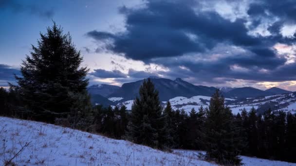 Paysage rural de montagne d'hiver. Nuages au crépuscule. la fin de la journée. Pins et épicéas au premier plan — Video