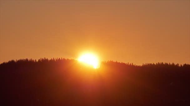 Wschód słońca zza lasu świerkowego , — Wideo stockowe