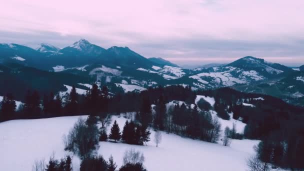 Zdjęcie lotnicze zimowego krajobrazu. Śnieżne łąki z drzewami w górskim krajobrazie wiejskim. — Wideo stockowe