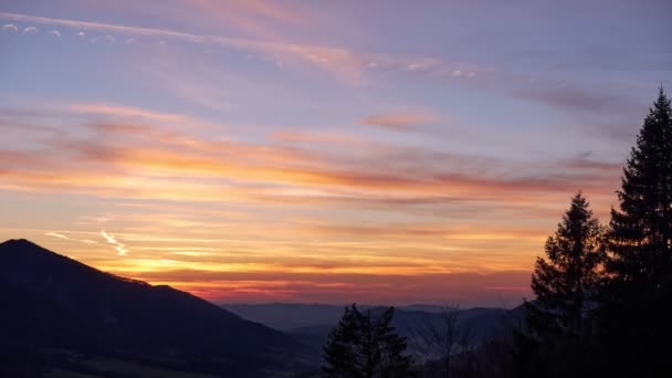 Červená oranžová obloha za soumraku. Silueta jehličnatých stromů, přiblížit. Timelapse FHD — Stock video