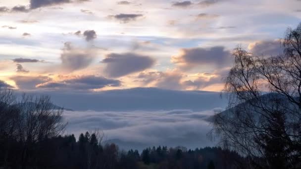 Niebla se derrama sobre colinas y bosques al atardecer, paisaje a la hora dorada — Vídeo de stock