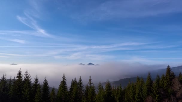 La niebla se derrama sobre el bosque de abetos en el udol... cielo azul con nubes finas. FHD — Vídeos de Stock