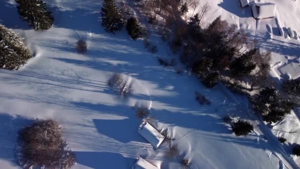 Zdjęcie lotnicze, detal małej wioski wśród drzew, zimowy zalesiony krajobraz górski.Długie cienie — Wideo stockowe