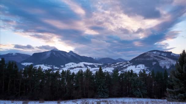 Paysage rural de montagne d'hiver. Nuages de couleur au crépuscule. la fin de la journée. Les pins au premier plan.FHD — Video