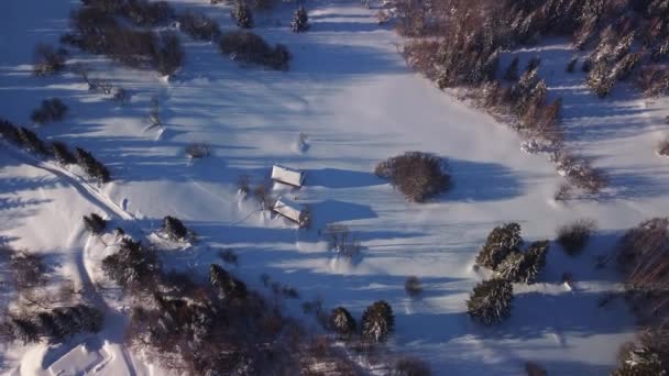 Veduta aerea del paesaggio innevato invernale con prati e alberi e cottage. Zoom in — Video Stock