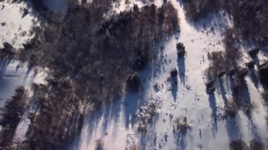 Ormandaki karlı kışın hava manzarası. Vadide evleri olan küçük bir yerleşim yeri.