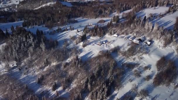 Вид с воздуха на зимний снежный пейзаж в лесу. Небольшой поселок с домами в лесу — стоковое видео