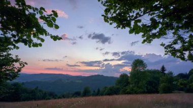 Yaz mevsiminde alacakaranlık, yaprak döken ağaçların arasında manzara, çiçekli çimenli çayır. Europa