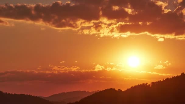 Zonsondergang boven het boslandschap — Stockvideo