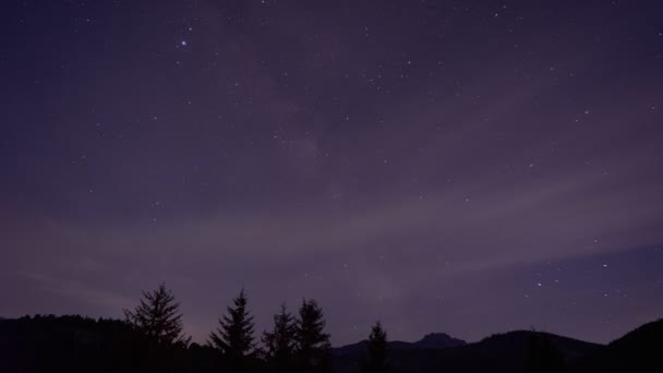 Samanyolu ile yıldızlı gökyüzü, renkli bulutlar, orman manzarasının silueti — Stok video