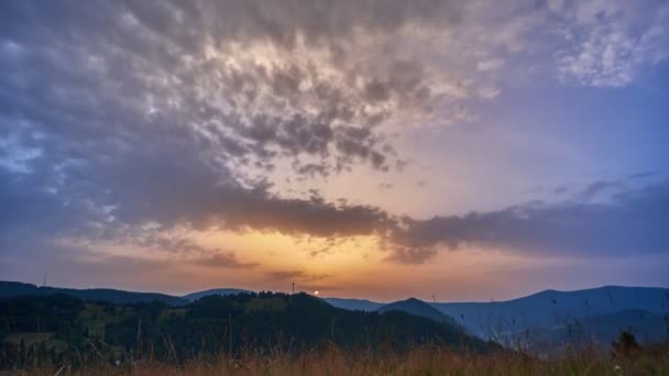 Wschód słońca nad lasem, gęste chmury glonów, wieje trawa na wietrze — Wideo stockowe