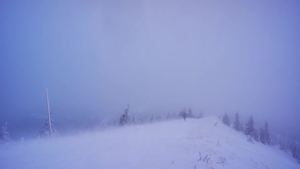 Sterke wind in de winter, man in de winter bergen. Een sneeuwstorm. Slecht zicht. Karpaten. — Stockvideo