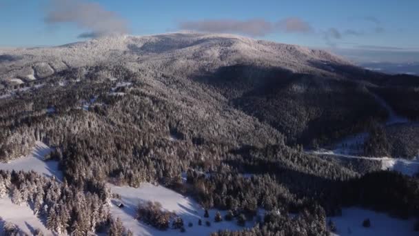 Flygfoto över vintern snöig skog. Vackert vilt landskap i Karpaterna — Stockvideo