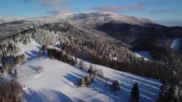 Luchtfoto van het winterbos. — Stockvideo