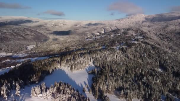 Εναέρια χειμερινό δάσος, ορεινό τοπίο στα Καρπάθια, πανοραμική θέα — Αρχείο Βίντεο