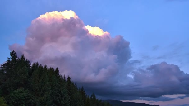 Nagy kumulus felhők a fák felett, 4K — Stock videók