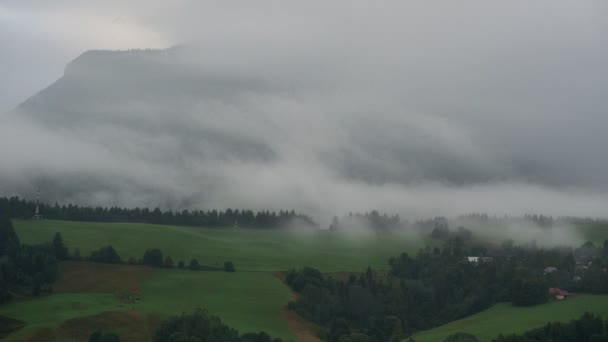 Туманное летнее утро в зеленой сельской местности, Timelapse, 4K — стоковое видео