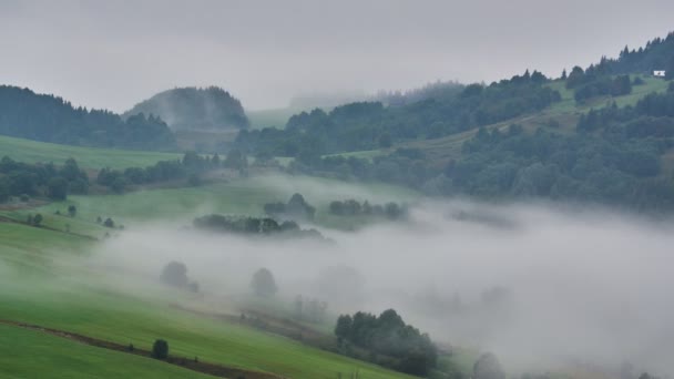 Brouillard se déplace sur le paysage rural avec des prairies herbeuses et des arbres, 4K — Video