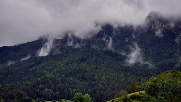 森林上空笼罩着云彩，水汽从森林中升起 — 图库视频影像