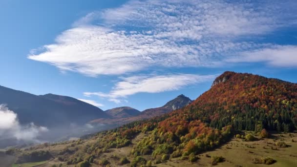 Paisaje de bosque de montaña de otoño, colores de árboles, colores de otoño. Cielo azul con nubes de algas — Vídeos de Stock