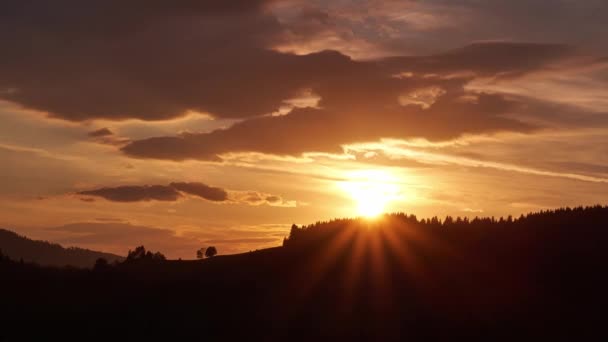 Puesta de sol, silueta de un paisaje con árboles — Vídeo de stock