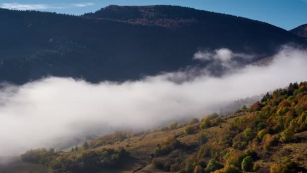 Köd a völgyben a hegyi tájban. Őszi tónusra kaparták a kopoltyúleveleket. Reggeli fény, köd — Stock videók