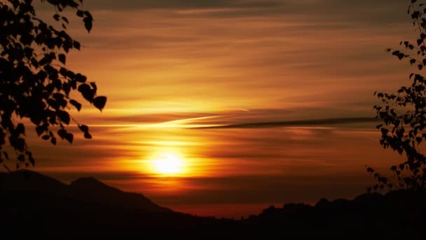 Pôr-do-sol laranja, árvores de silhueta, 4k timelapse vídeo — Vídeo de Stock