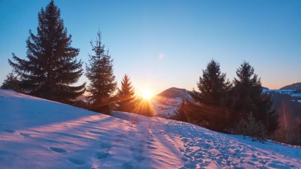 Tramonto nel paesaggio invernale. I raggi del sole splendono tra gli alberi — Video Stock