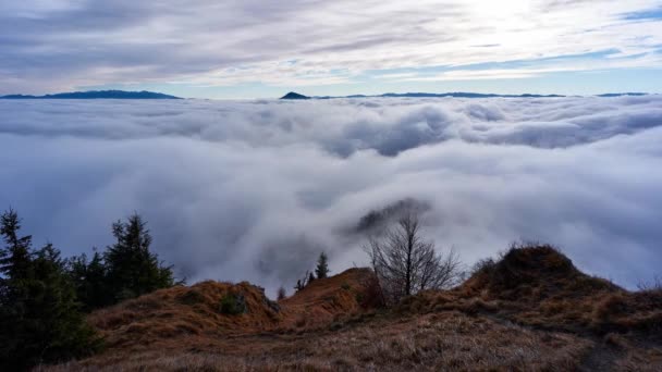 Onde di nebbia nella natura montana, bella mattina d'autunno nebbiosa a Mala Fatra — Video Stock