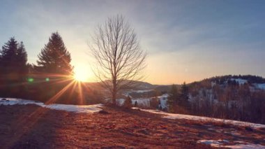 4K Timelapse, Bahar Ormanı manzarasında ağaçların arkasından gün doğumu