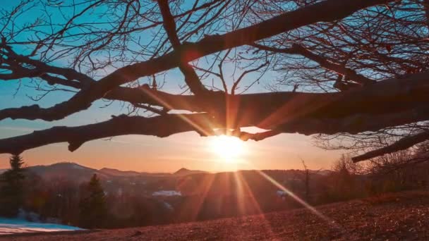 Sonnenuntergang in der Frühlingswaldlandschaft, hinter den Silhouetten der Buchenzweige. — Stockvideo