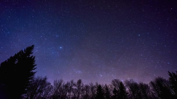 Tijdsverloop van een nachtelijke hemel vol sterren boven de bomen in het bos, — Stockvideo