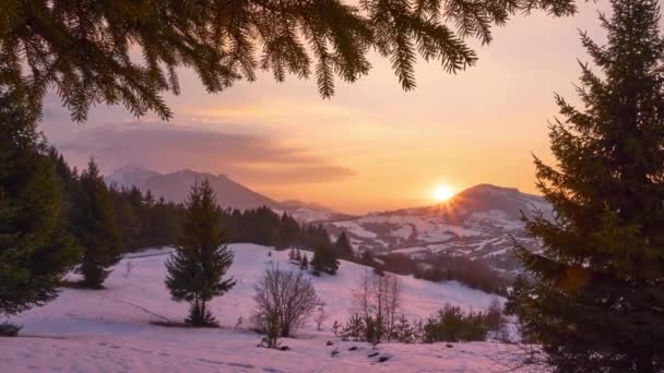 Χειμερινό ηλιοβασίλεμα στα Καρπάθια χειμερινό τοπίο. Από 1 Ιανουαρίου μέχρι 31 — Αρχείο Βίντεο