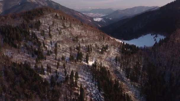Luchtfoto van gemengd winterbos in heuvelachtig berglandschap — Stockvideo