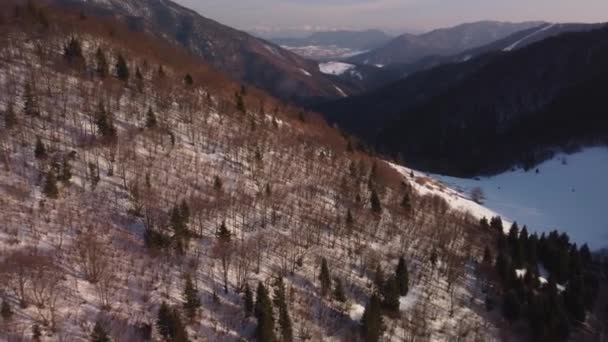 雪の牧草地と森の丘の間の谷と森の風景の上を飛行 — ストック動画