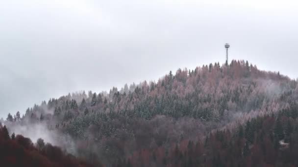 Tågen fordamper i den blandede skov i overskyet forårsvejr i april. – Stock-video