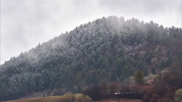 Chmury i mgła nad sosnowym lasem przy zmiennej kwietniowej pogodzie. Timelapse krajobraz wideo — Wideo stockowe