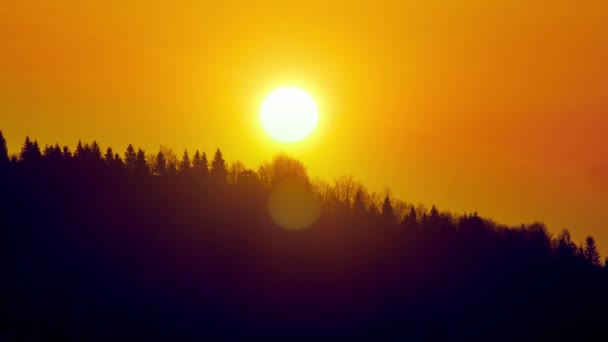 Gran sol, sol seting al bosque de siluetas, tiro limpio minimalista. Timelapse 4K — Vídeos de Stock