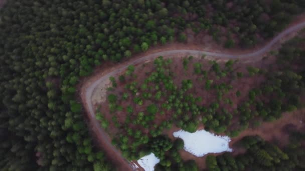 Légi kilátás egy út a tavaszi vegyes erdő, forgó, forgó kilátás. — Stock videók