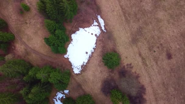 Veduta aerea di alberi e prati in primavera colorato campagna carpatica, con resti di neve — Video Stock