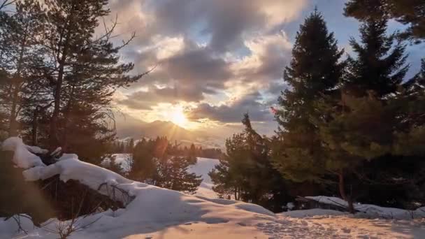 La puesta del sol detrás de las colinas los árboles que se balancean en los pinos del viento debajo de la tarde brillante — Vídeos de Stock