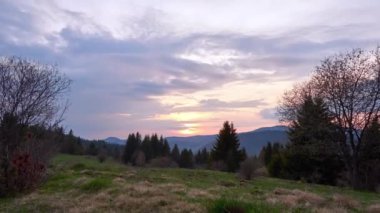 Sunset on a cloudy spring day, natural scenery in the forest on the meadow.