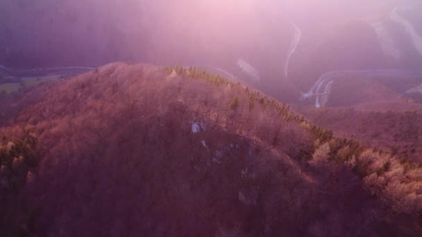 Bosque de primavera plano aéreo iluminado por el sol poniente.Volando sobre la cresta de la colina — Vídeos de Stock