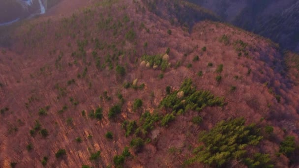 Aerial shot. Spring forest lit by the setting sun, steep slopes, road with a river in the valley. — Stockvideo