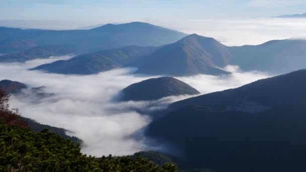 Nubes entre las montañas, inversión, magia de las montañas, gran altitud, — Vídeos de Stock