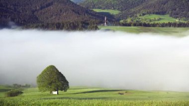 İlkbaharda kırsal konutların yanındaki vadide sis var. Ağaçların arasında Hristiyan beyaz şapeli.