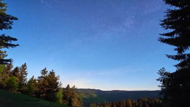 Ночное небо, полное звезд с галактикой Млечного Пути в лесном ландшафте. 4K timelapse — стоковое видео