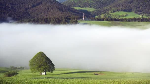 Nebel im Tal bei den bäuerlichen Wohnhäusern im Frühling. Christliche weiße Kapelle zwischen den Bäumen. — Stockvideo