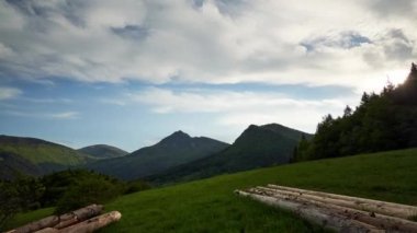 Dağlık kırsal bir dağda, yeşil bir çayırda tahta gördüm., 
